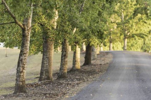 Clarendon Forest Retreat - Nambucca Heads Accommodation 3