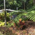 Kuranda QLD Nambucca Heads Accommodation