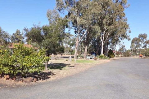 Castlereagh Motor Inn - Nambucca Heads Accommodation 2