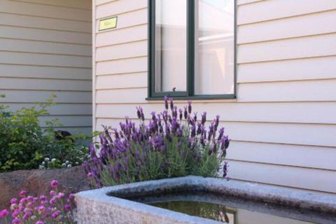 Woodend Old School House - Nambucca Heads Accommodation 7