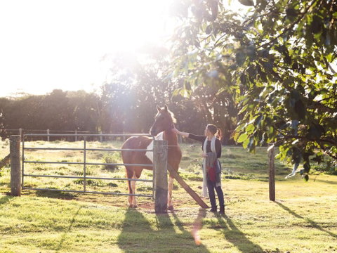 Bridle Guesthouse - Nambucca Heads Accommodation 6