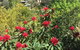 Stringers Cottage - thumb 1