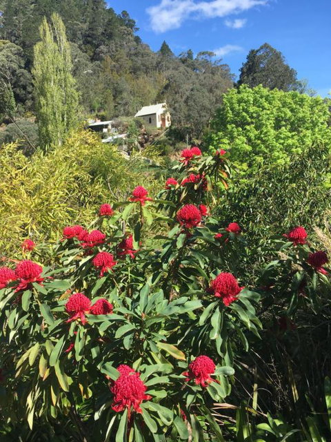 Stringers Cottage - Nambucca Heads Accommodation 1