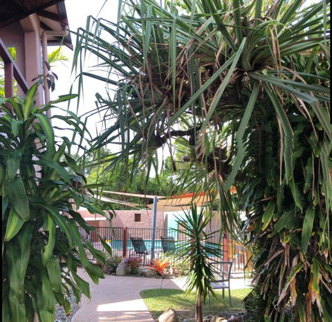 Pandanus Holiday Apartments - Nambucca Heads Accommodation 4
