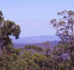 Ravensbourne Escape Cedar Lodge - Nambucca Heads Accommodation
