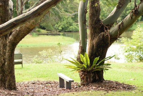 McCarthy Lake House - Nambucca Heads Accommodation 4