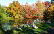 McCarthy Lake House - thumb 1
