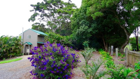 Maleny Luxury Cottages - Nambucca Heads Accommodation 2