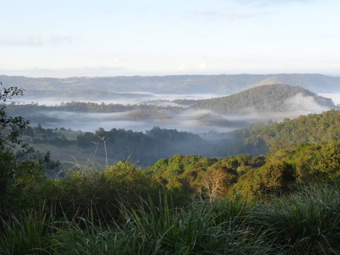 Maleny Luxury Cottages - Nambucca Heads Accommodation 5