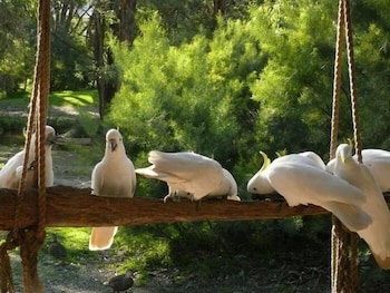The Burrow At Wombat Bend - Nambucca Heads Accommodation 0