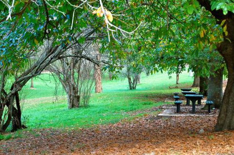 Mount Evelyn Retreat - Nambucca Heads Accommodation 1