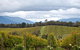 Mount Evelyn Retreat - thumb 2