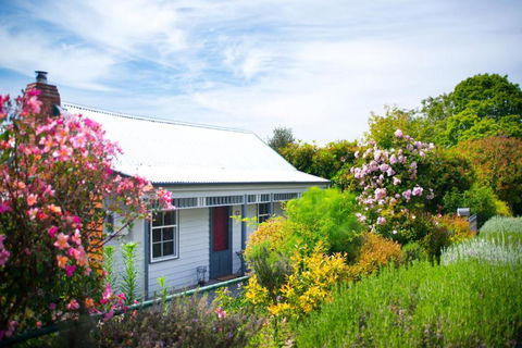 Fortuna Cottage - Nambucca Heads Accommodation 5
