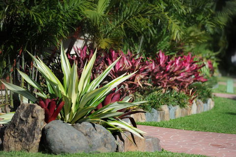 BIG4 Adventure Whitsunday Resort - Nambucca Heads Accommodation 5