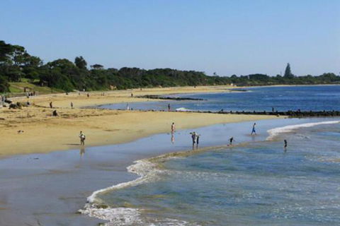 Roseneath Villa B & B - Nambucca Heads Accommodation 5