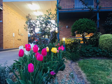 The Vines Motel And Cottages - Nambucca Heads Accommodation 0