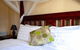 Little River Bed & Breakfast - thumb 2