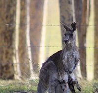 Bella Wind Bed  Breakfast - Nambucca Heads Accommodation