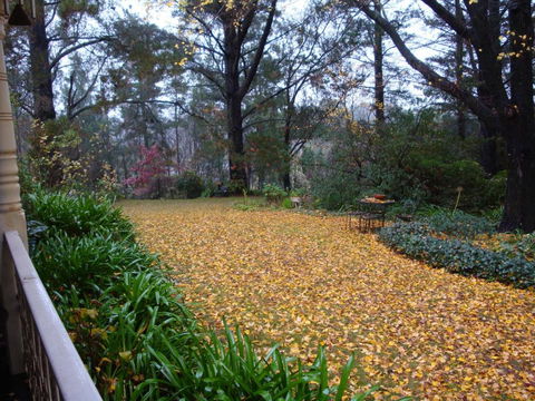 Southdown Cottage - Nambucca Heads Accommodation 4