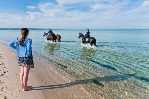 Sailaway Beach House - Nambucca Heads Accommodation 6