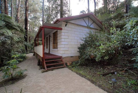 Fernglen Forest Retreat - Nambucca Heads Accommodation 5