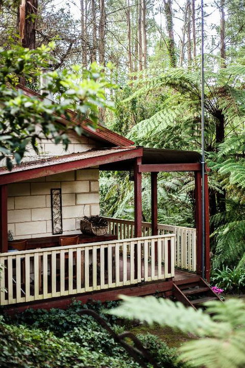 Fernglen Forest Retreat - Nambucca Heads Accommodation 4