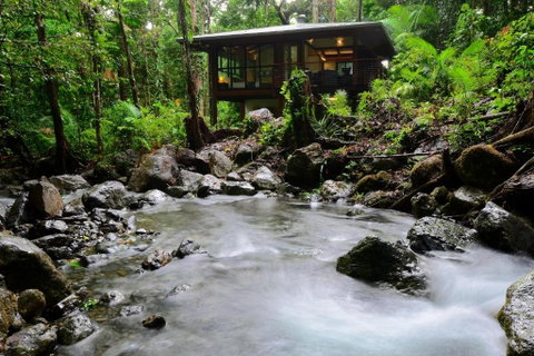 Black Palm Cape Tribulation - Nambucca Heads Accommodation 3