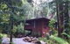 Black Palm Cape Tribulation - thumb 0