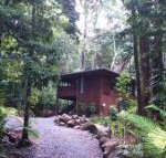 Black Palm Cape Tribulation - Nambucca Heads Accommodation
