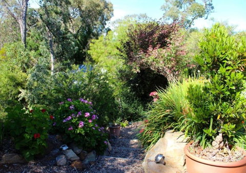 Astley Cottage - Nambucca Heads Accommodation 4