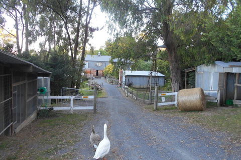A Twist Of Willow - Nambucca Heads Accommodation 1
