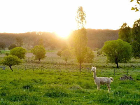 Glen Waverly Farmstay - Nambucca Heads Accommodation 6