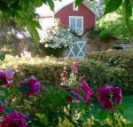 A Country Barn Retreat - Nambucca Heads Accommodation