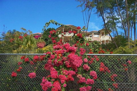 Tranquill Garden Hideaway - Nambucca Heads Accommodation 6