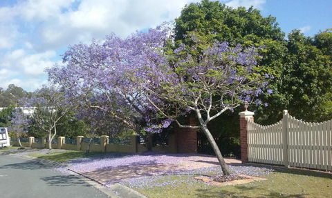 Tranquill Garden Hideaway - Nambucca Heads Accommodation 2