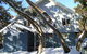 Terama Ski Lodge - thumb 4