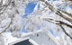 Terama Ski Lodge - thumb 3