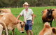 Dairymans Cottage - thumb 3