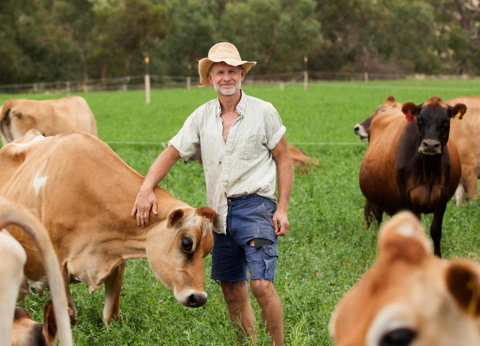 Dairymans Cottage - Nambucca Heads Accommodation 3