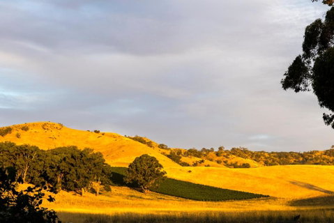 Dairymans Cottage - Nambucca Heads Accommodation 6
