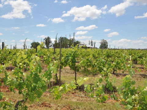 Beggars Bridge Vineyard Homestead W / Pool + Wifi + Tennis + Vineyard - Nambucca Heads Accommodation 1