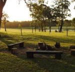 Wallaby Cottage cute Accom in bushland setting