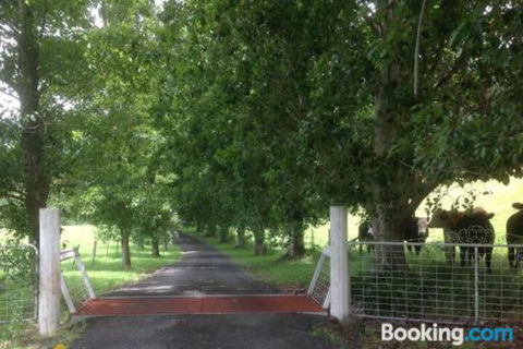 Whispers At Cedar Grove - Nambucca Heads Accommodation 7