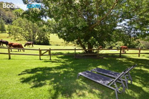 Whispers At Cedar Grove - Nambucca Heads Accommodation 5