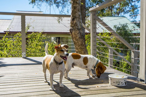 Monigatti - Nambucca Heads Accommodation 5