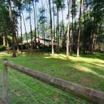 Fernglade On Menzies - Nambucca Heads Accommodation 0