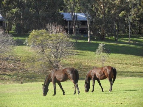 Balinga Cottages - Nambucca Heads Accommodation 1