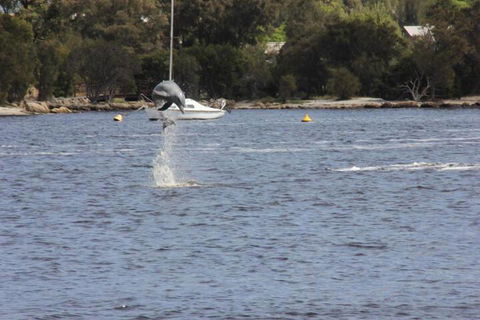 Tani Hill - Nambucca Heads Accommodation 1