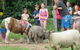 Kings Creek Retreat - thumb 1