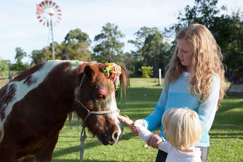 Kings Creek Retreat - Nambucca Heads Accommodation 5